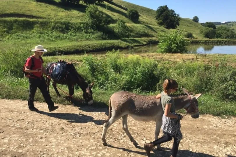 Spaß für Kinder in Europa: Eselwanderung in Rumänien