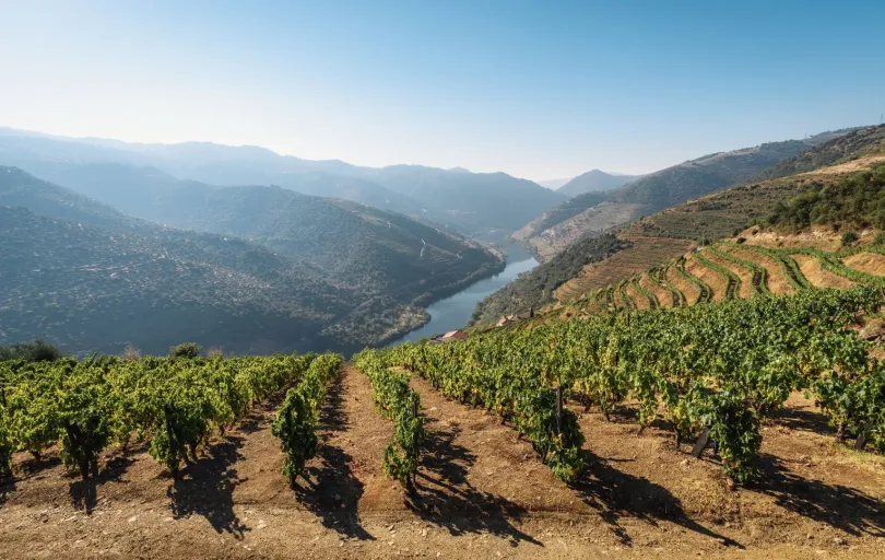 Highight: Wein probieren im Douro Tal in Portugal