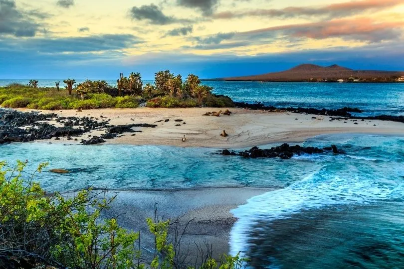 Wunderschöne Galapagos Inseln