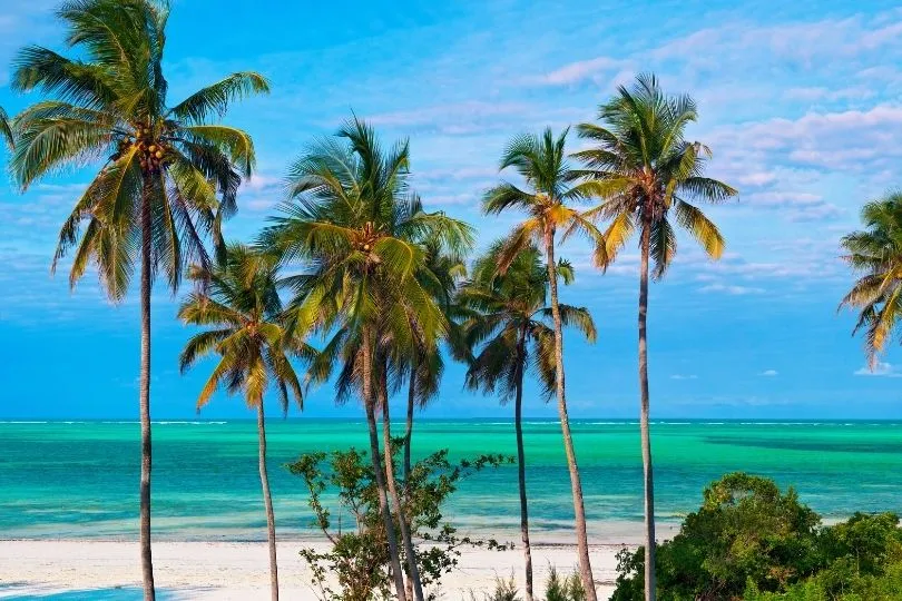 Traumhafte Insel Sansibar