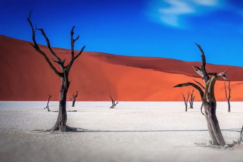 Wie ein farbenfrohes Gemälde: Die Wüste in Namibia