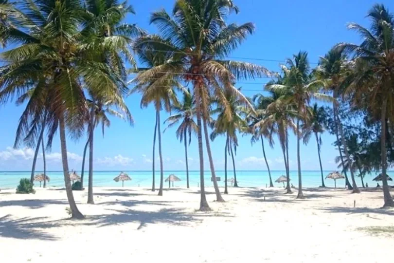 Traumstrand auf Sansibar