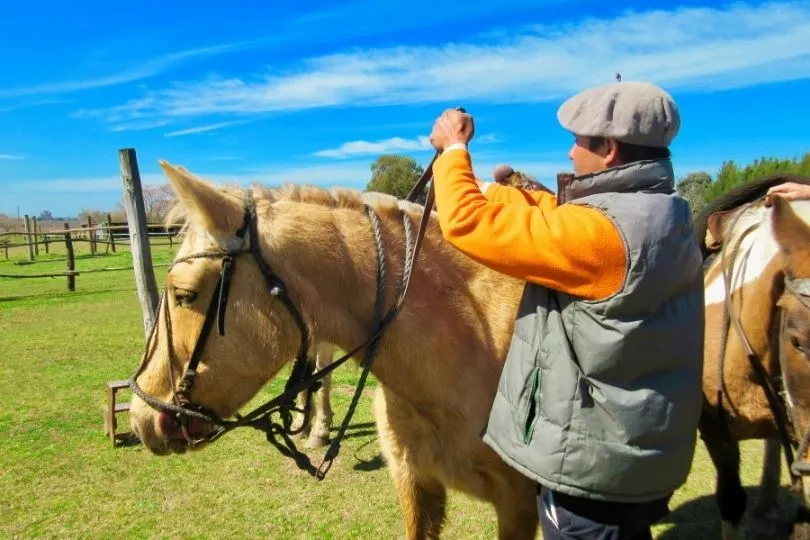 Ein Farmer säumt ein Pferd auf einer Estancia in Patagonien