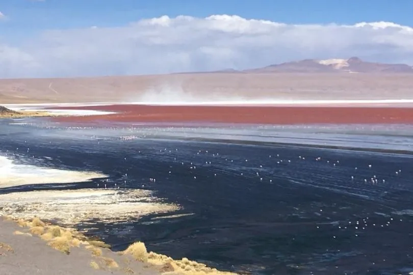 Bunte Lagune in der Salar de Uyuni