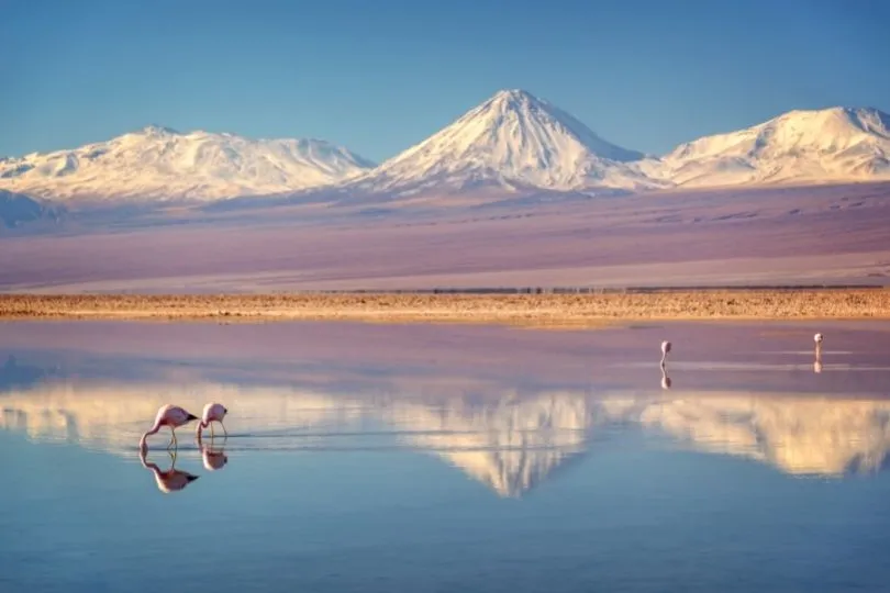 Riesiges Highlight: Die faszinierende Atacama Wüste in Chile