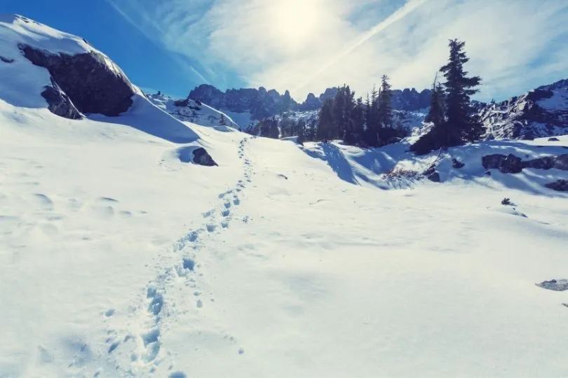 Die Sierra Nevada ist perfekt für eine Winterreise