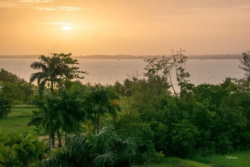 Faszinierendes Reiseziel: Die Schönheit Surinames entdecken