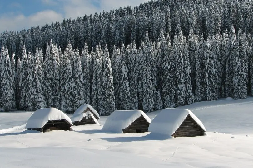 Verschneite Landschaft auf deiner Winterreise in Slowenien