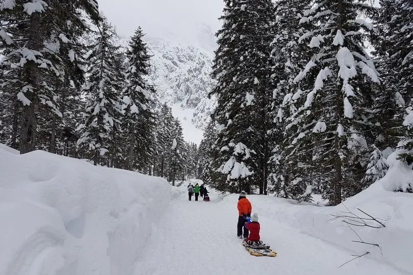 Eine Familie bei einem Winterspaziergang in Slowenien