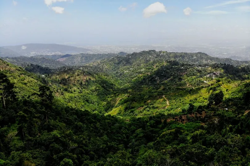 Wandern in den Blue Mountains – ein Jamaika Highlight
