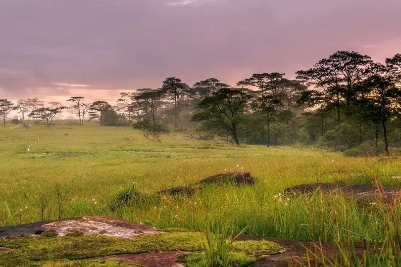 Wandern auf dem Bolaven Plateau