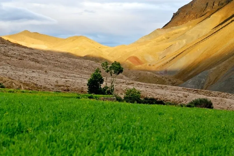 Abwechslungsreiche Landschaft auf deiner Ladakh Wanderung