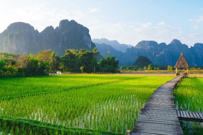 Reisefeld in Laos