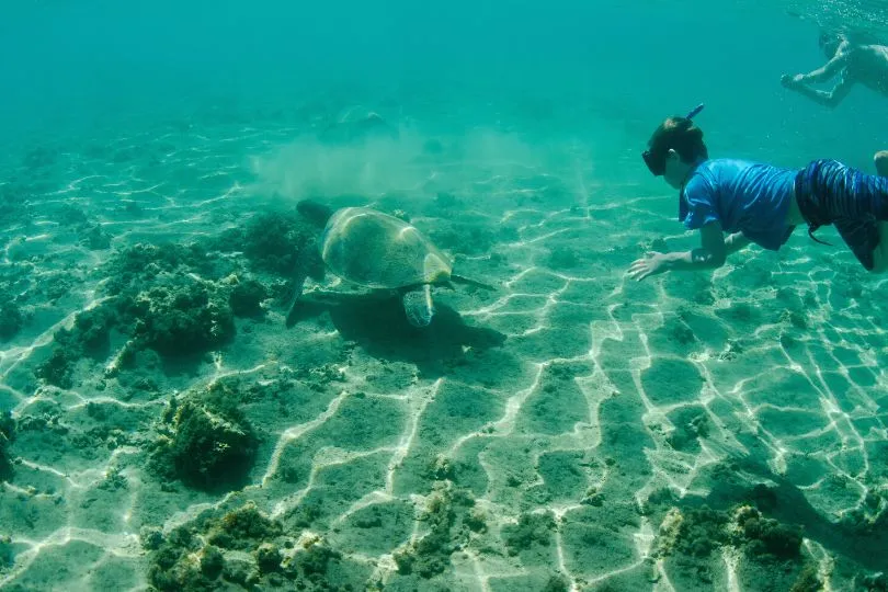 Schnorcheln in Cozumel