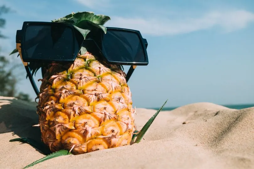 Eine Ananas am Strand von Montenegro