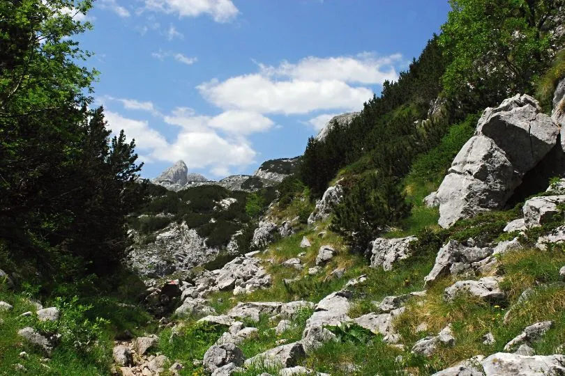Naturparadies: Der Durmitor Nationalpark in Montenegro