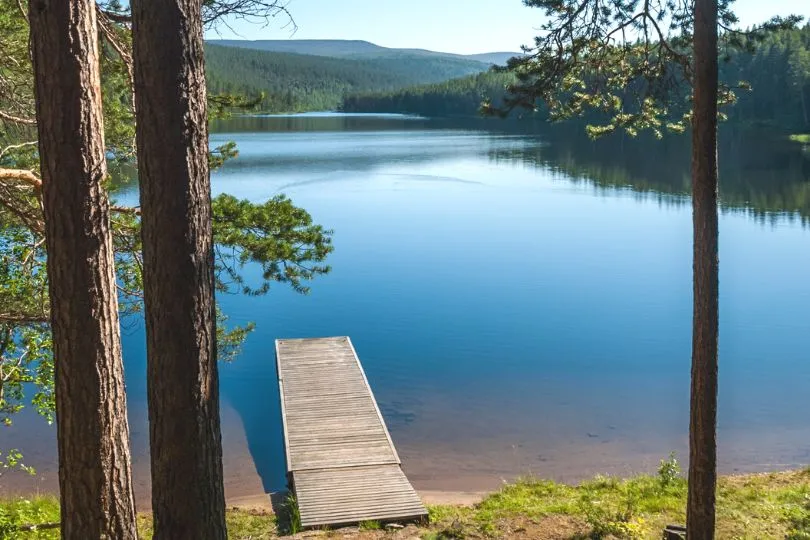 Repovesi Nationalpark in Finnland im Sommer erleben