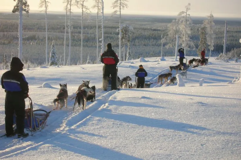 Huskyschlittenfahrt auf deiner Finnland Winterreise