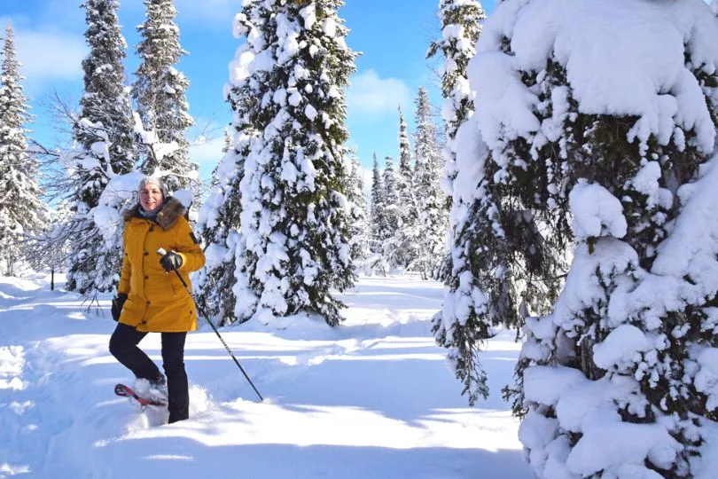 Schnee in Lappland, Finnland