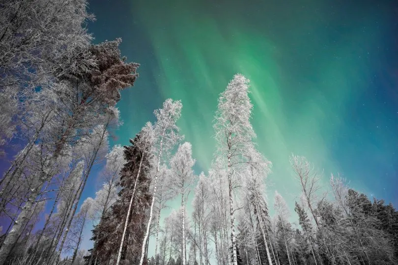 Polarlichter im verschneiten Finnland