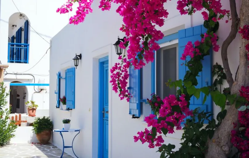 Weiße Häuser und bunte Blumen auf der griechischen Insel Antiparos