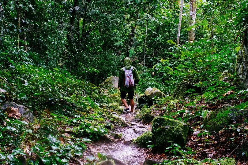 Ein Reisender im Dschungel in Peru während der Gruppenreise