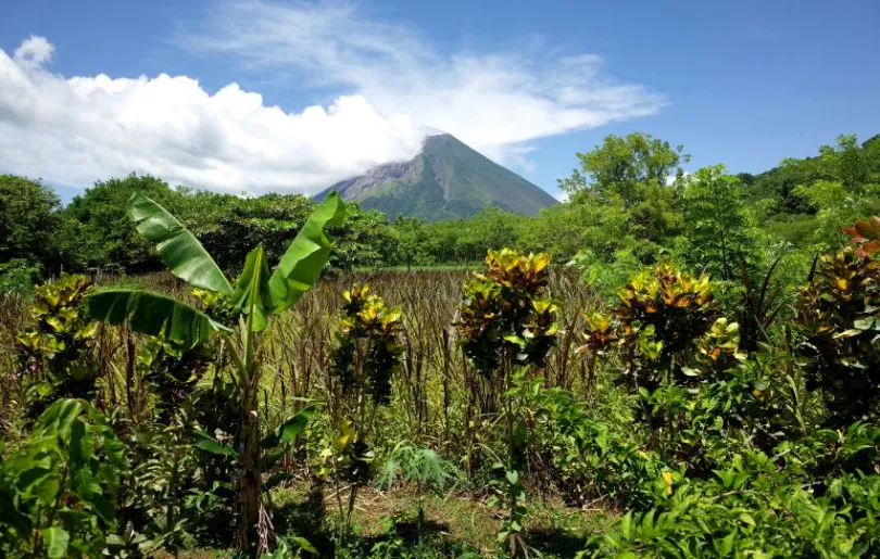 Aktiver Vulkan in Lateinamerika: Auf der Insel Ometepe