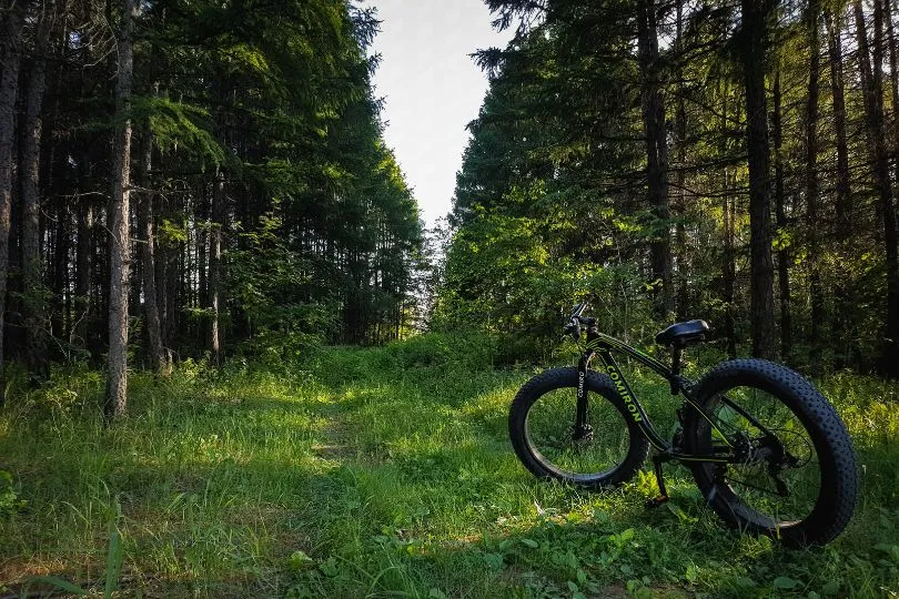 Fahrradtour durch finnische Wälder und Seenlandschaften