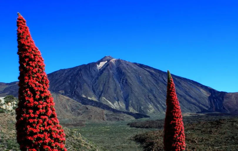 Der Teide auf Teneriffa ist der höchste Berg Spaniens