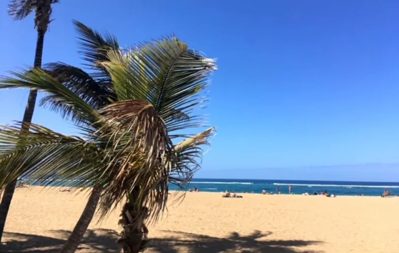 Start deiner Teneriffa Gran Canaria Reise: Der Strand von Las Canteras