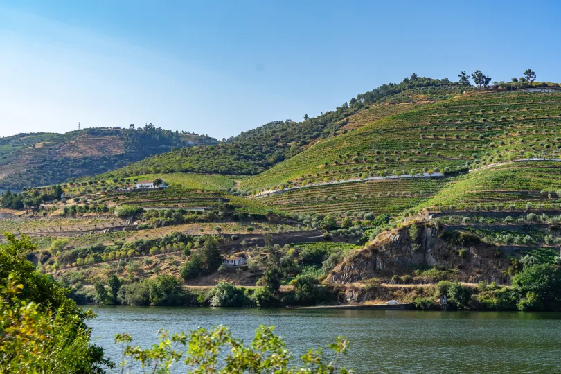 Douro Valley Portugal