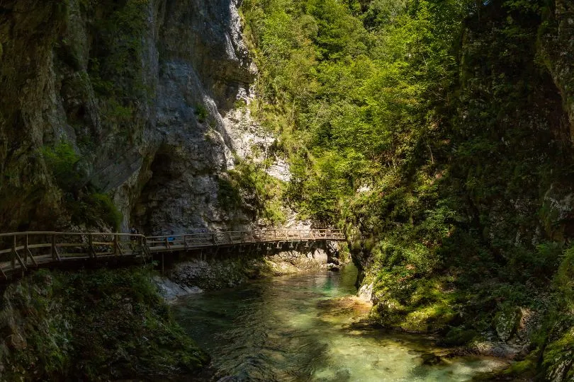 Natur pur: Vintgar Gorge in Slowenien