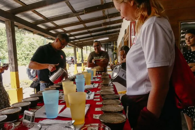 Auf dre Gruppenreise nach Costa Rica bei einer Kaffeeverkostung teilnehmen