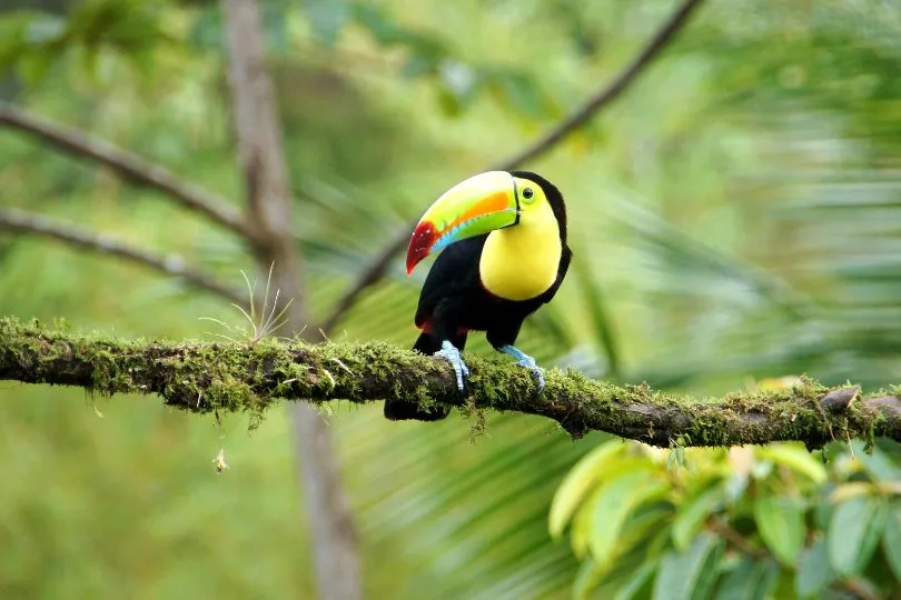 Das Ende der Gruppenreise in Costa Rica ist da