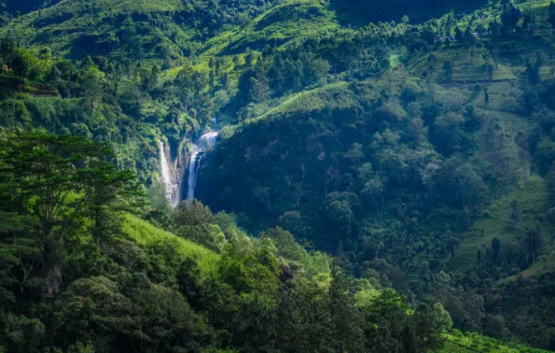 Wasserfall im Hochland Sri Lankas