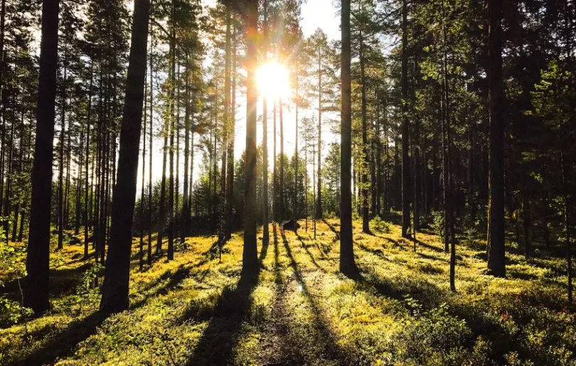 Das Klima in Schweden ist kinderfreundlich