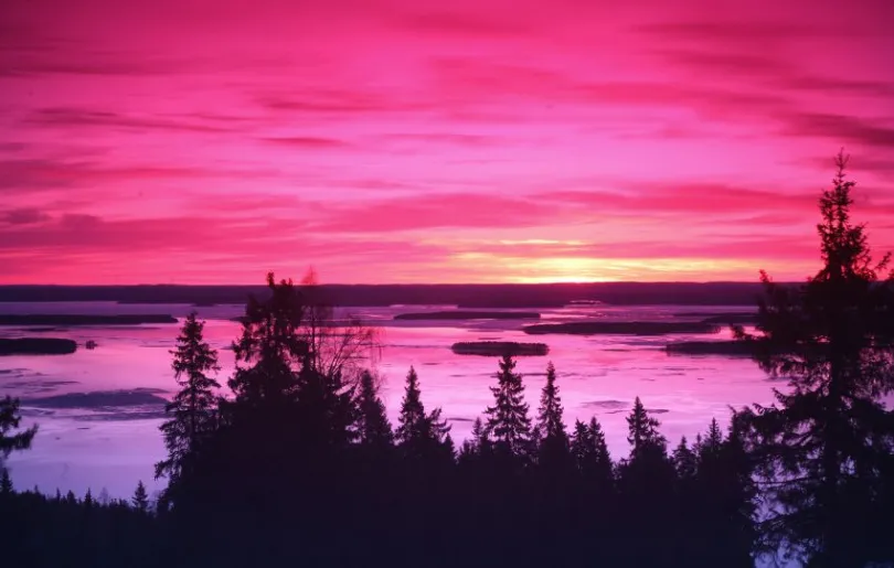 Spektakulärer Sonnenuntergang im Koli Nationalpark in Finnland