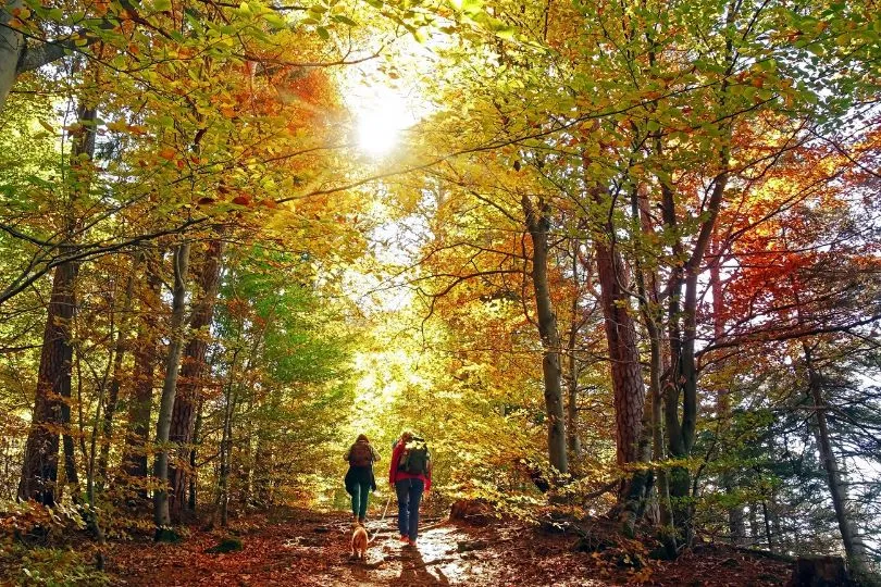 Zwei Wanderer in Rumänien
