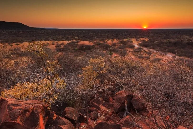 Der erste Stopp der Familienreise ist der Waterberg in Südafrika