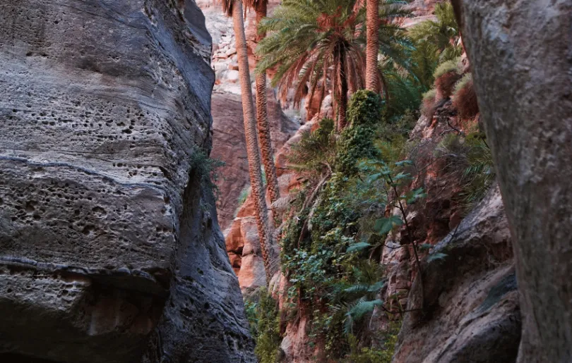 Jordanien Reise Dana