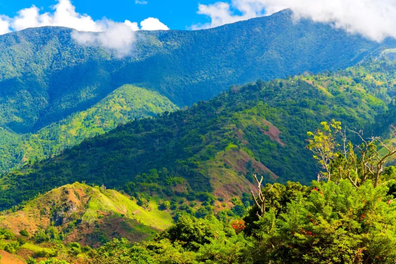Grün, grüner, Jamaika: Entdecke die Blue Mountains