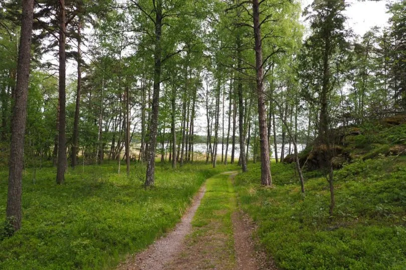 Fahrradtour durch Finnlands Natur