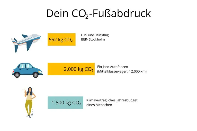 Stockholm Flug CO2