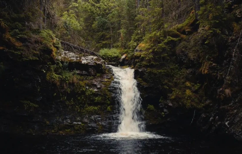 Erkunde die beeindruckende Natur Schwedens