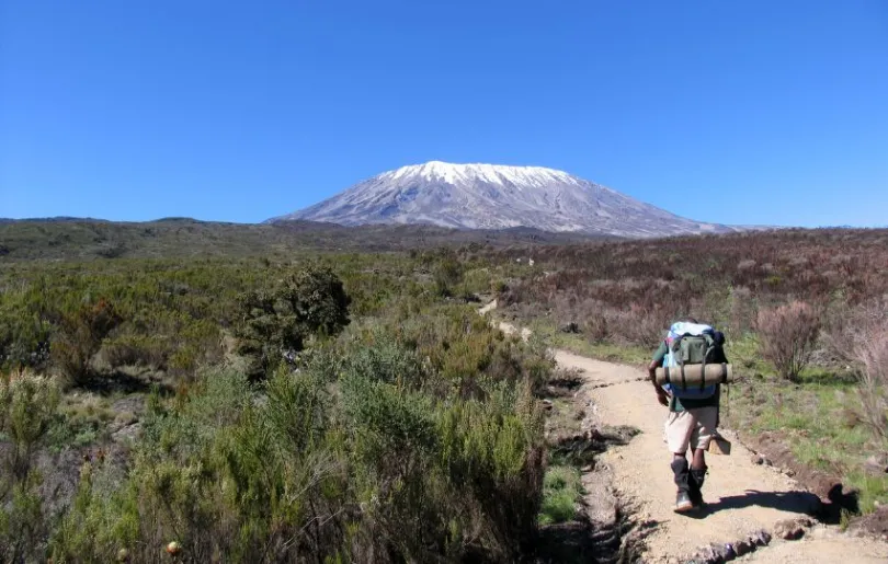 Auf der besten Kilimandscharo Route mit den besten Guides unterwegs