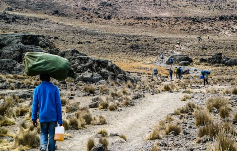 Du wirst auf der Kilimandscharo Wanderung von Guides und Trägern begleitet