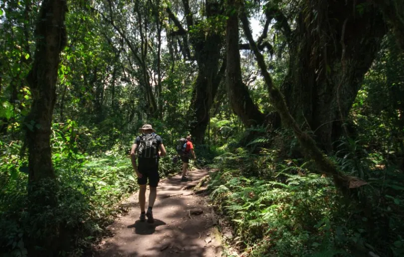 Finde deine beste Route auf den Kilimandscharo