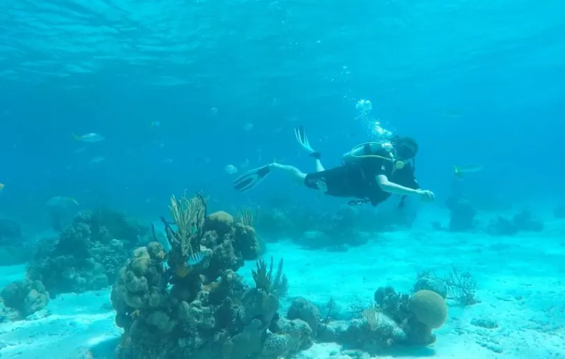 Auf deiner Kuba Rundreise die Unterwasserwelt entdecken