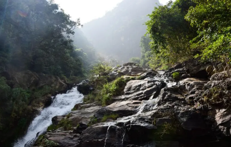 Entdecke die wunderschöne Landschaft auf deiner Sri Lanka Rundreise