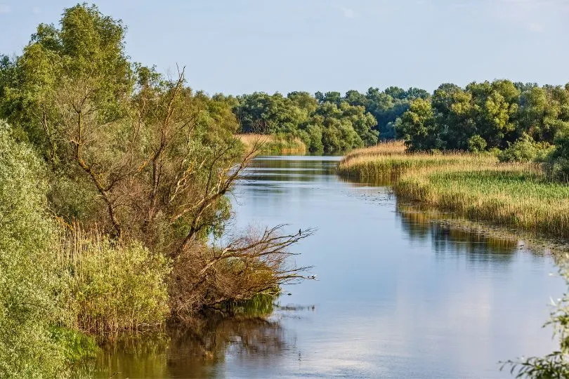 Das Donau Delta in Rumänien